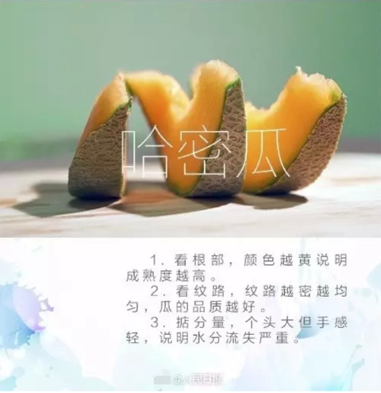 賣了幾十年水果的老農教你挑哈密瓜